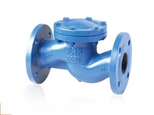 Çekvalf Yaylı Flanşlı DN125 5''