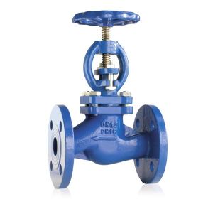 Glob Buhar Vanası DN125-5''
