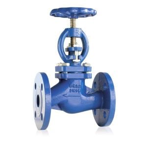 Glob Buhar Vanası DN125-5''