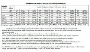 Düz Emniyet Ventili Ayarlı 1''