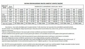 Düz Emniyet Ventili Ayarlı 1''